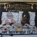 Sarasota & Bradenton Vet Clinics: Get More Clients with Local PPC