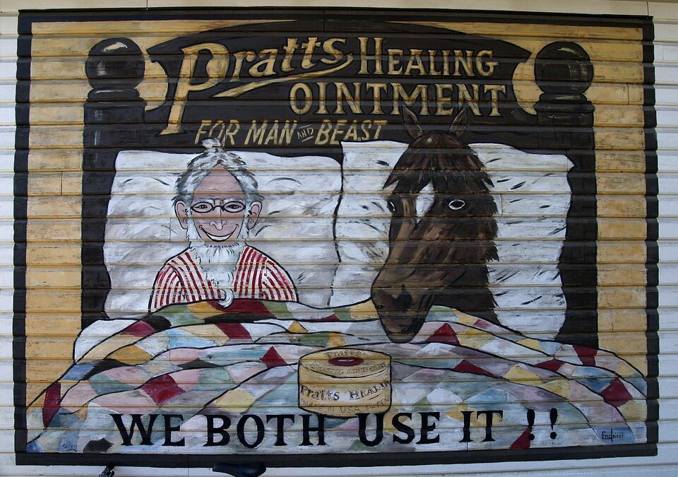 Sarasota & Bradenton Vet Clinics: Get More Clients with Local PPC