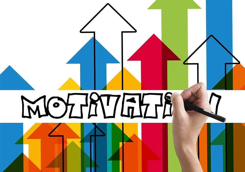Unlock Local Leads: PPC Management for Sarasota/Bradenton Auto Services.