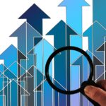 Sarasota & Bradenton Pest Control: Master Your PPC Advertising