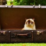 Affordable Junk Hauling for Bradenton Homes & Businesses