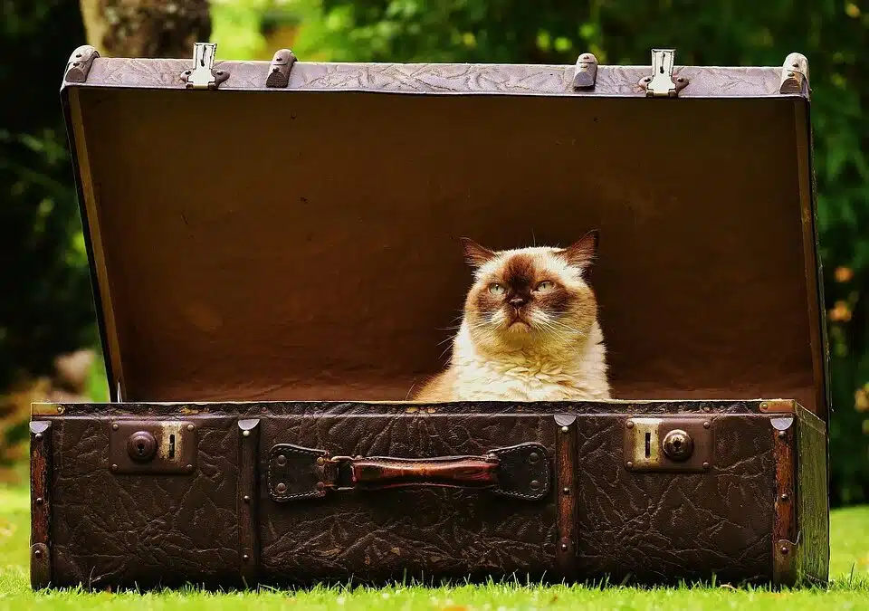 Affordable Junk Hauling for Bradenton Homes & Businesses