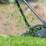 Attract Local Customers: Mastering SEO for Bradenton Lawn Care