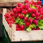Attract More Local Patients: Local SEO for Sarasota & Bradenton Dermatologists