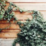 Boost Your Bradenton Business: How SEO Can Elevate Your Siding Contractor Services