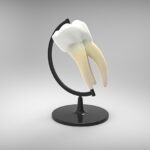 Boost Your Dental Practice: How Local SEO Can Attract More Patients in Bradenton