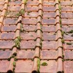 Boost Your Roofing Business: PPC Strategies for Sarasota Success