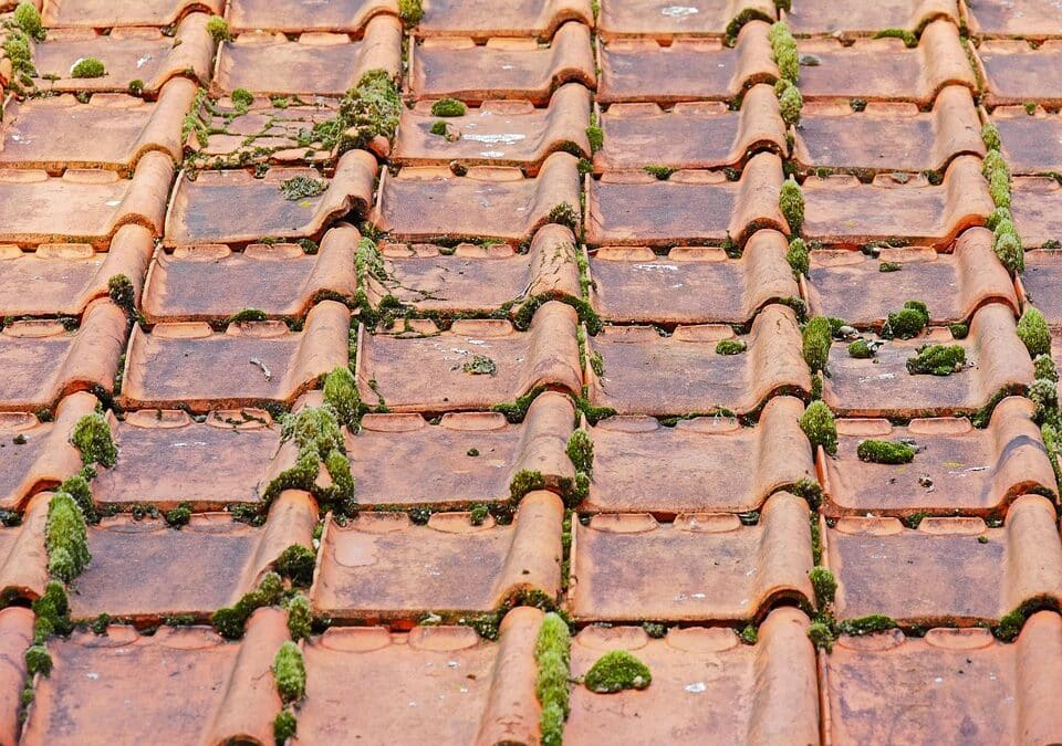 Boost Your Roofing Business: PPC Strategies for Sarasota Success