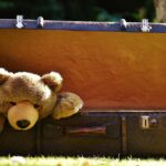 Bradenton Junk Removal Experts: We Haul It All!