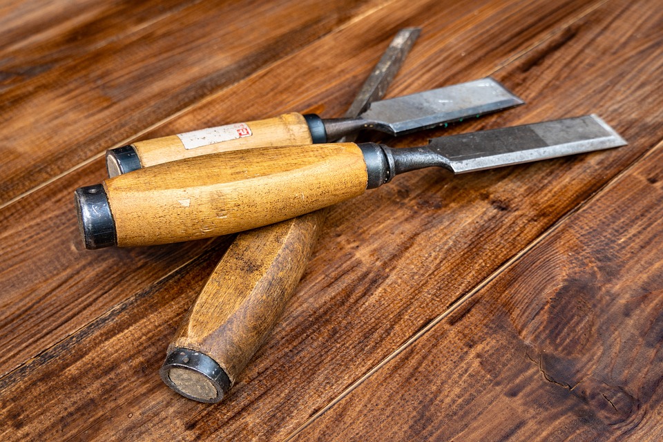 Branching Out Online: How SEO Can Elevate Your Bradenton Tree Service Business