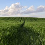 Digging Deep: How SEO Can Unearth New Opportunities for Your Bradenton Land Grading Business