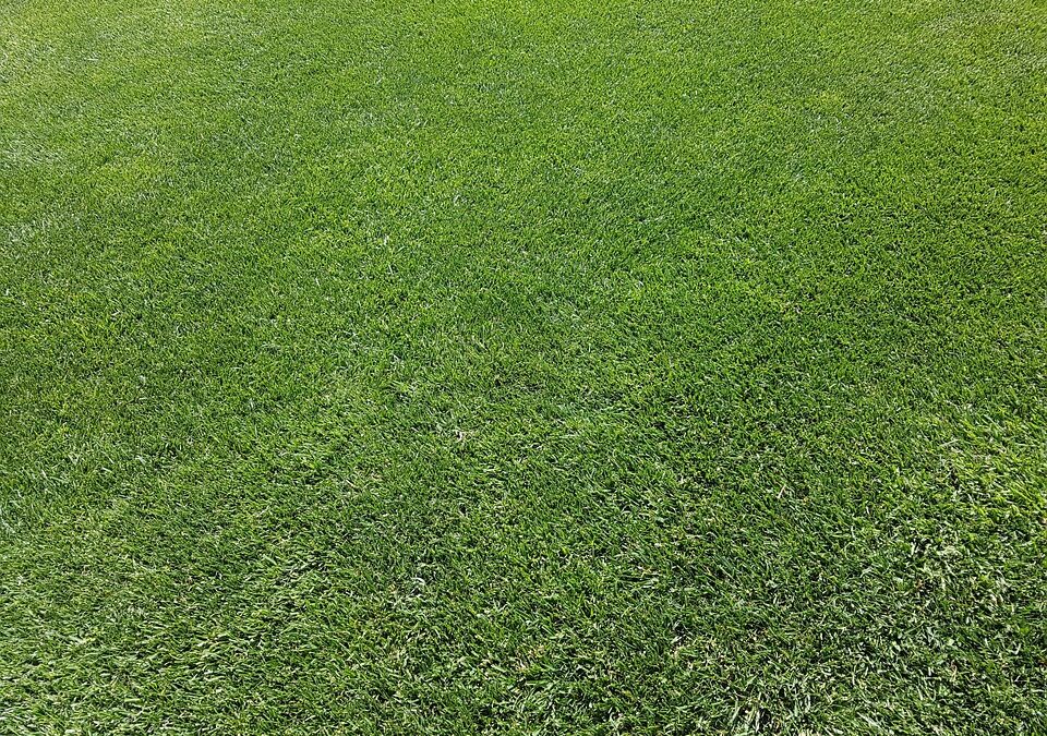 Don't Let Clicks Wilt: Optimizing Your Sarasota Lawn Care PPC for Conversions