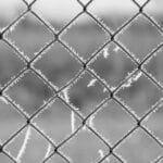 From Clicks to Customers: The Power of PPC for Local Fence Installers in Bradenton