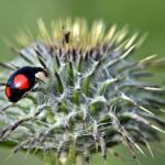 From Infestation to Elevation: The Transformative Power of PPC for Sarasota Pest Control Owners