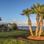 From Seed to Success: Unlocking the Power of PPC Advertising for Bradenton Landscapers