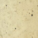 From Sidewalks to Search Ads: Unlocking Local Success for Sarasota Concrete Contractors with PPC