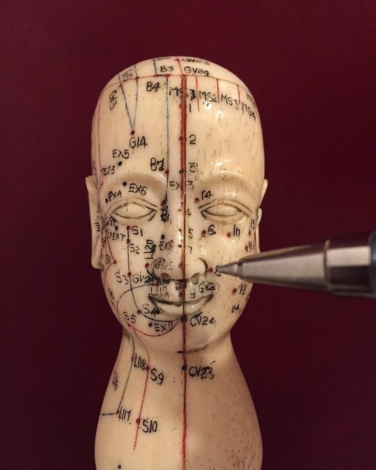 Growing Your Bradenton Acupuncture Practice Through Effective PPC Advertising