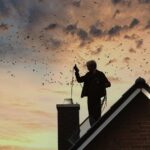 How SEO Can Elevate Your Sarasota Chimney Sweep Business Above the Competition