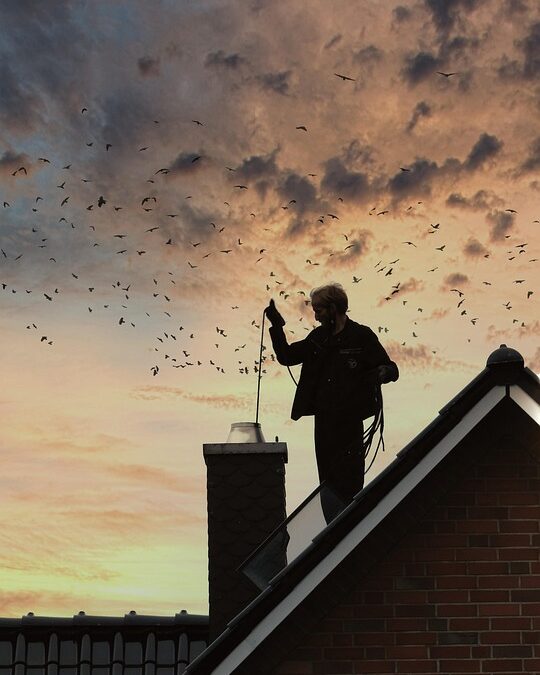 How SEO Can Elevate Your Sarasota Chimney Sweep Business Above the Competition