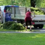 Increase Revenue: How PPC Can Transform Your Landscaping Business in Sarasota/Bradenton