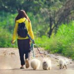 Leash the Power of PPC: How Local Dog Walkers in Bradenton Can Fetch More Clients!