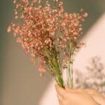 Local Love & Clicks: PPC for Sarasota Florists Targeting Area Customers