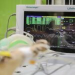 Mastering PPC to Grow Your Sarasota/Bradenton Veterinary Practice