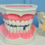 PPC Management Services for Dentists in Sarasota