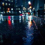 Rise Above the Competition: How SEO Can Transform Your Sarasota Gutter Cleaning Business