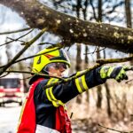 Rooting for Success: The Hidden Benefits of SEO for Sarasota’s Tree Service Owners