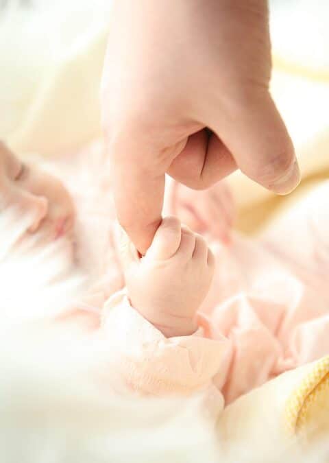 Sarasota Child Care Success: How PPC Can Bring You More Families