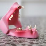 Sarasota's Guide to Successful Veterinary PPC Management