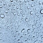 Shining a Spotlight on Success: How SEO Can Elevate Your Bradenton Window Cleaning Business