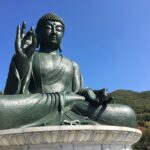 Signs Your Sarasota Roof Needs Repair (And Who to Call)