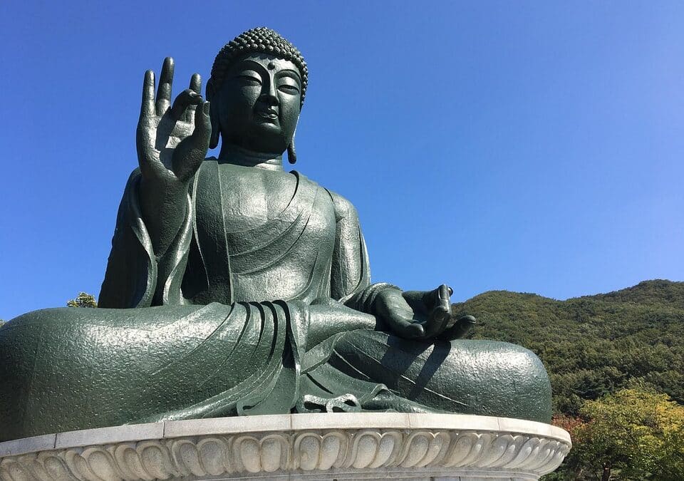 Signs Your Sarasota Roof Needs Repair (And Who to Call)