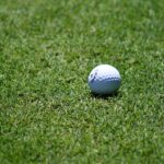 Sow the Seeds of Success: Boost Your Sarasota Lawn Care Business with Effective SEO Strategies