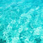 Splashing into the Top: The Ultimate SEO Guide for Pool Cleaners in Sarasota