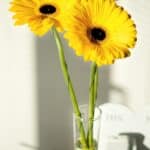 Stop Losing Customers: Effective Local SEO for Bradenton Florists