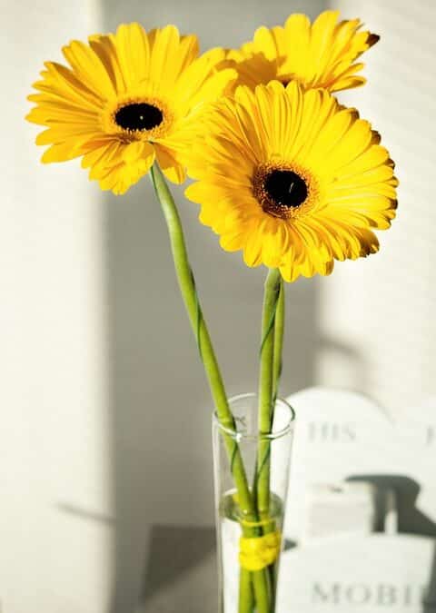Stop Losing Customers: Effective Local SEO for Bradenton Florists