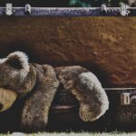 Trash to Treasure: How Local SEO Can Boost Your Junk Removal Business in Bradenton
