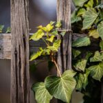 Unlocking Growth: How PPC Advertising Can Elevate Your Bradenton Fence Installation Business
