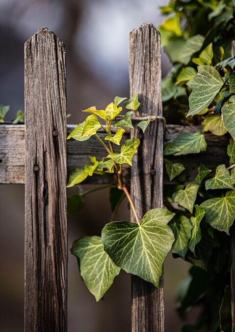 Unlocking Growth: How PPC Advertising Can Elevate Your Bradenton Fence Installation Business