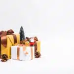 Unpacking Success: How SEO Can Elevate Your Sarasota Packing Service Above the Competition
