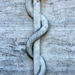 Urgent Care vs. ER in Sarasota: Knowing Where to Go (Keywords: urgent care Sarasota, ER Sarasota, medical care Sarasota, where to go medical)