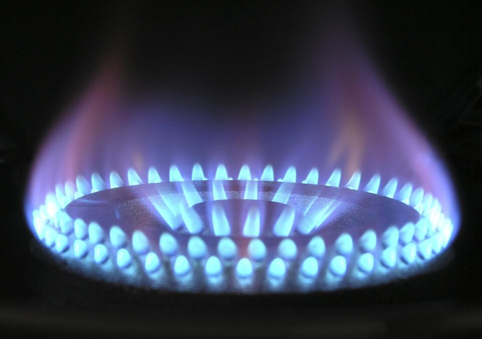 Why Your Sarasota Appliance Repair Shop Needs PPC: Unleashing the Power of Targeted Advertising