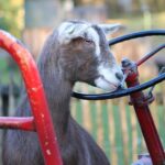 Accelerate Your Driving School's Growth: How SEO Can Put Your Sarasota Business in the Fast Lane