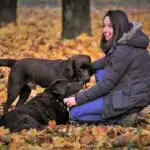 Bark Up the Right Tree: 5 PPC Strategies to Attract Local Clients and Grow Your Pet Training Empire