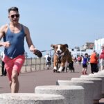 Barking Up the Right Tree: The Top SEO Strategies for Bradenton's Dog Walking Services