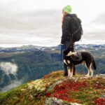Barking Up the Right Tree: Why Bradenton Dog Walkers Can't Afford to Ignore PPC Marketing
