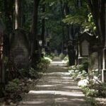 Beyond the Ashes: How SEO Can Help Bradenton Funeral Homes Shine Online